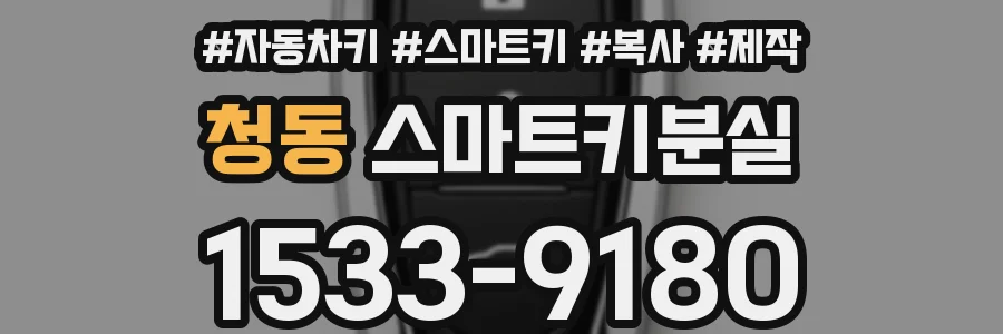 청동 스마트키분실