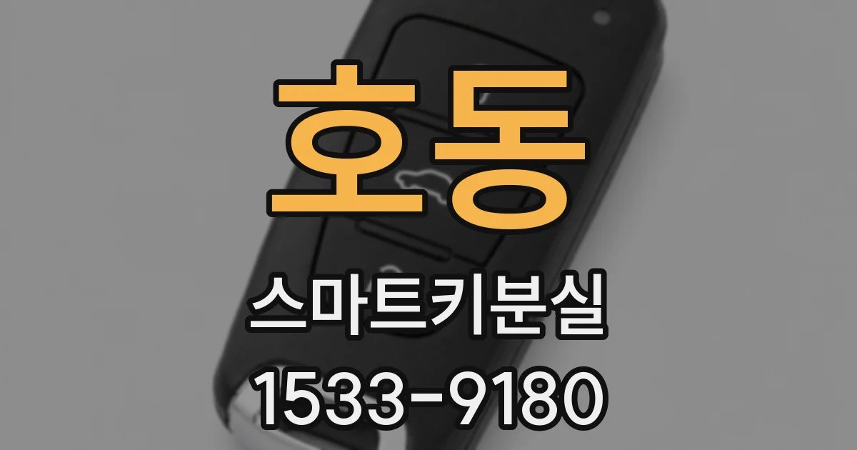 호동 스마트키분실