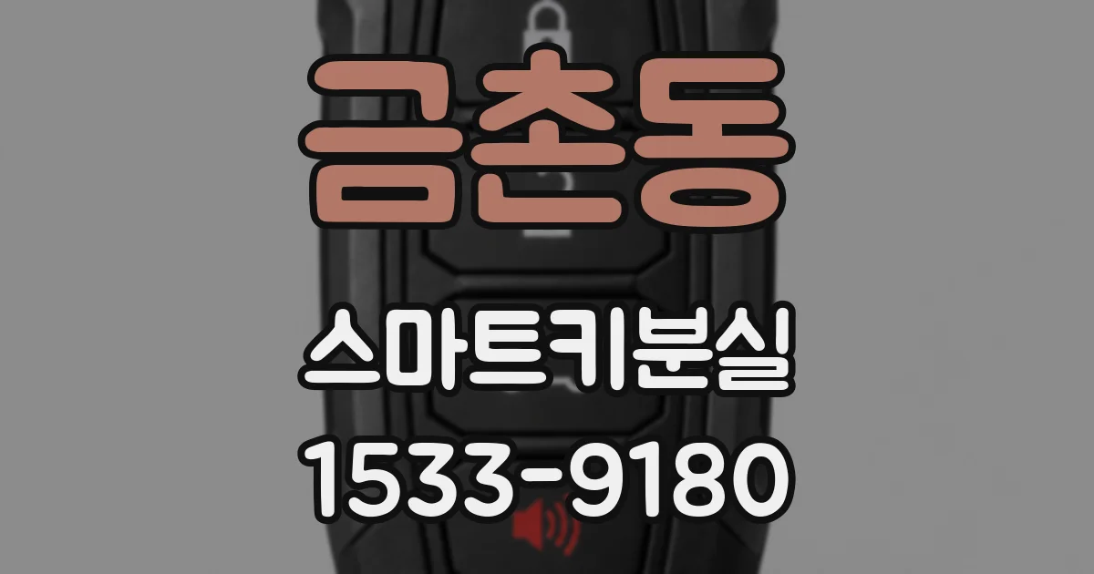금촌동 스마트키분실