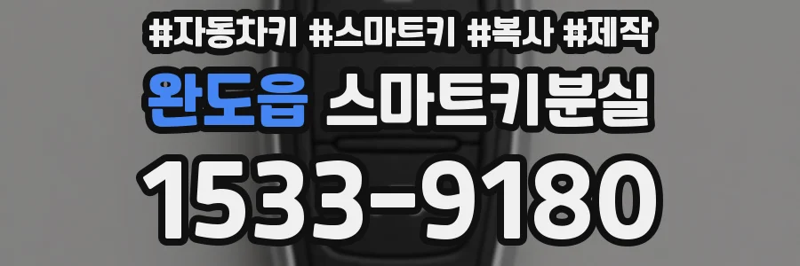 완도읍 스마트키분실