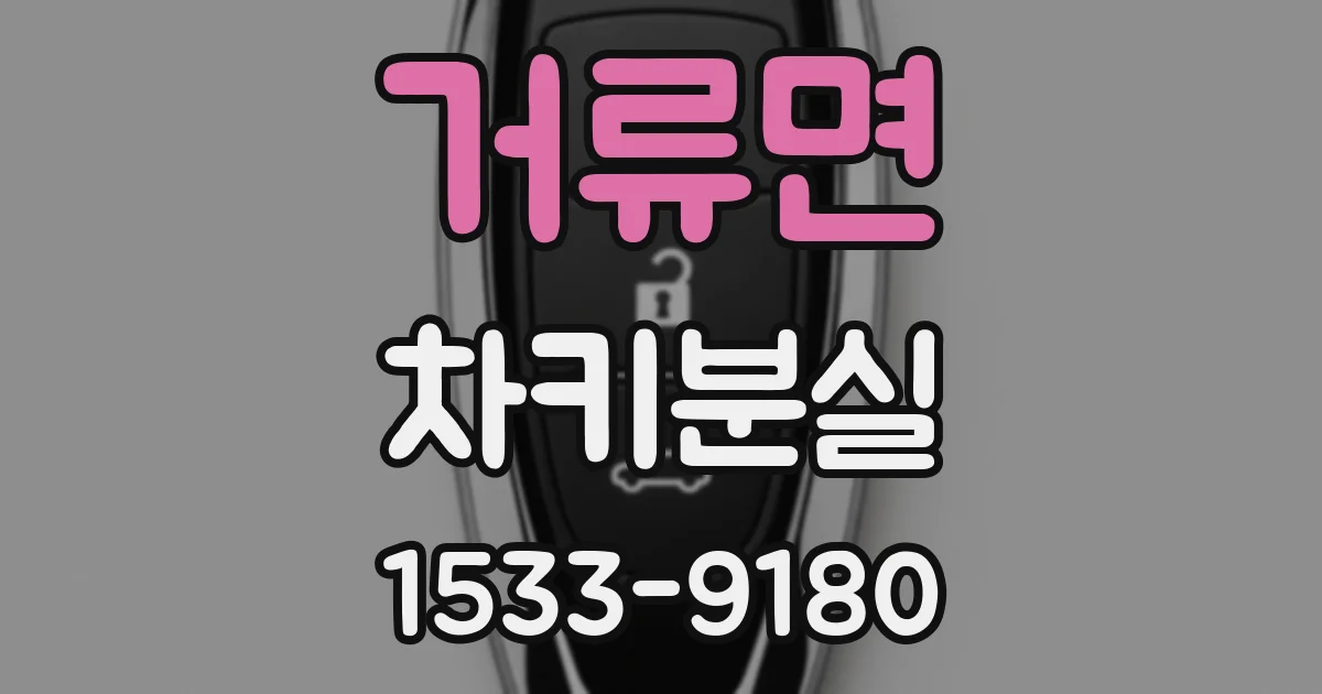 거류면 차키분실