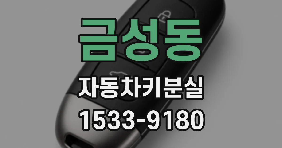 금성동 자동차키분실
