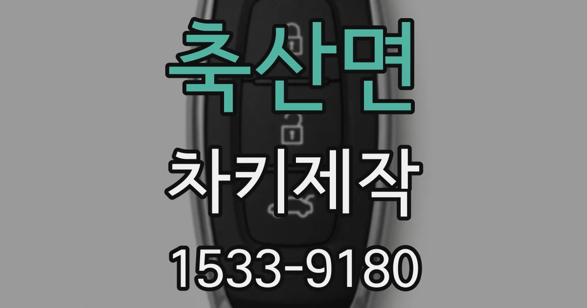 축산면 차키제작