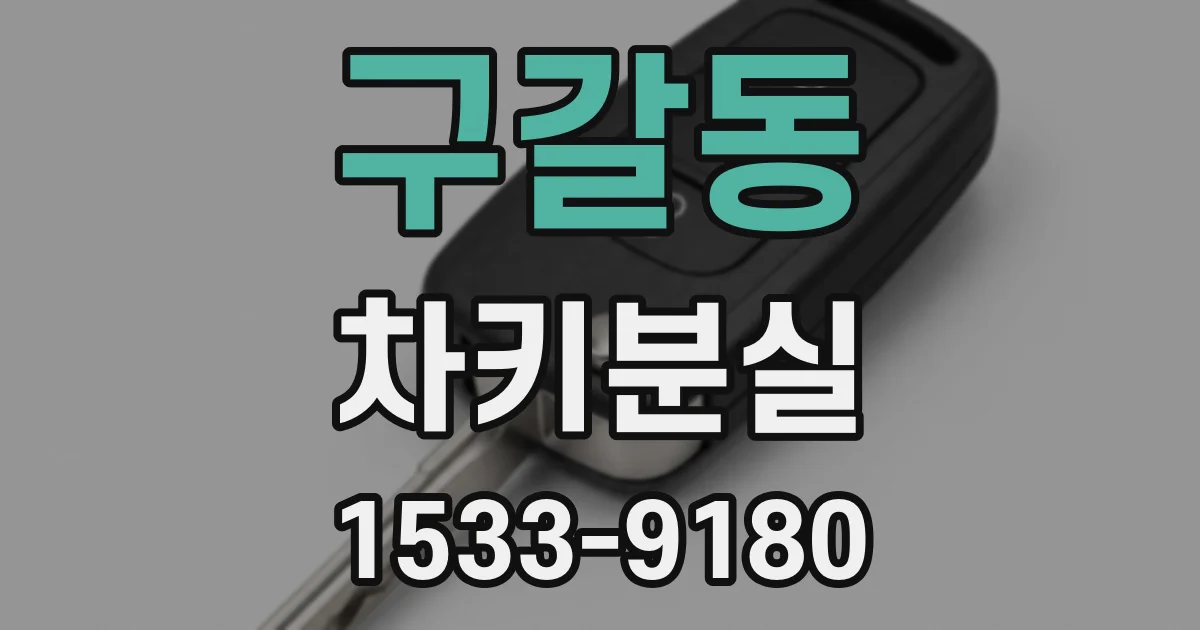 구갈동 차키분실