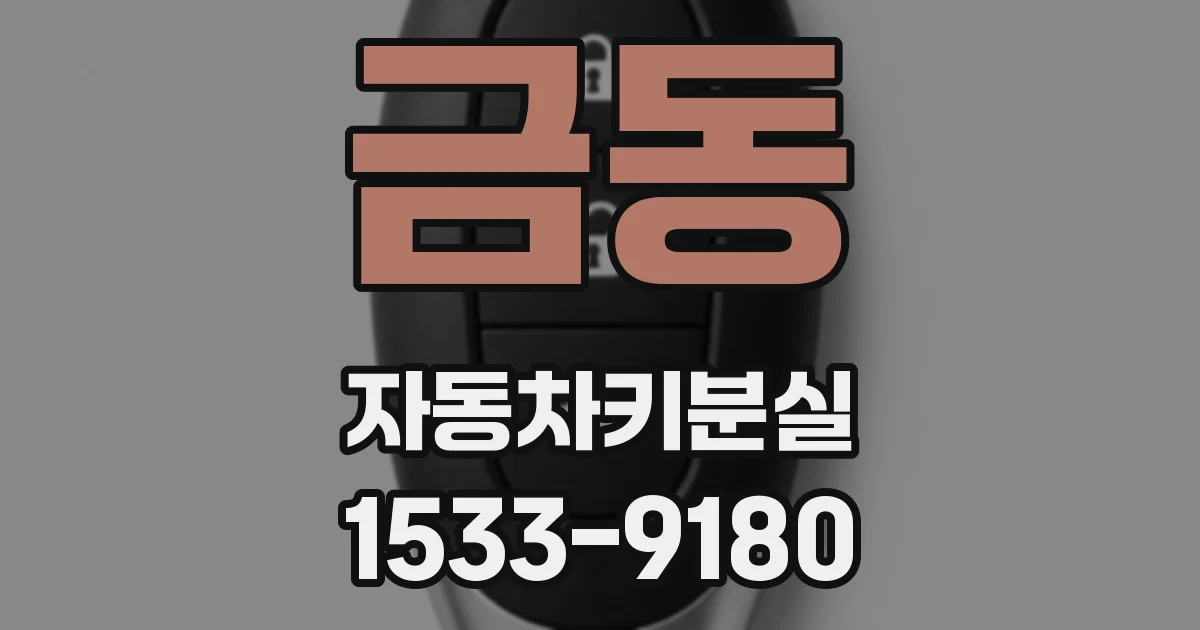 금동 자동차키분실