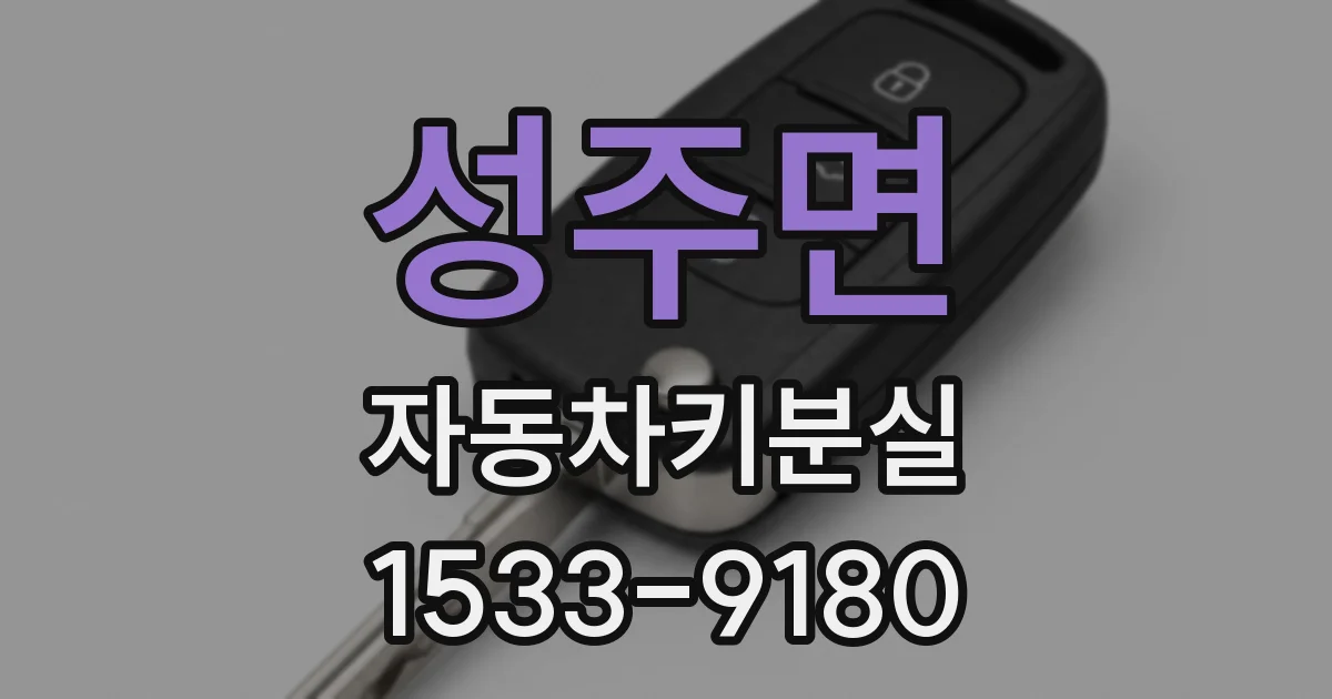 성주면 자동차키분실