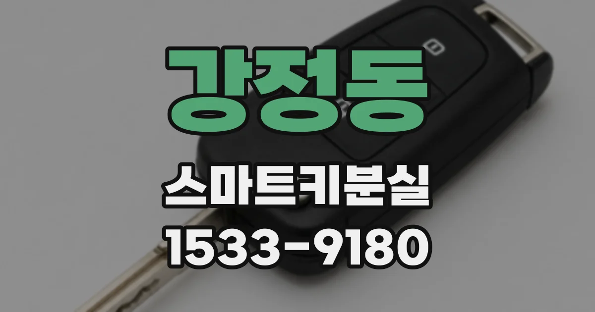 강정동 스마트키분실