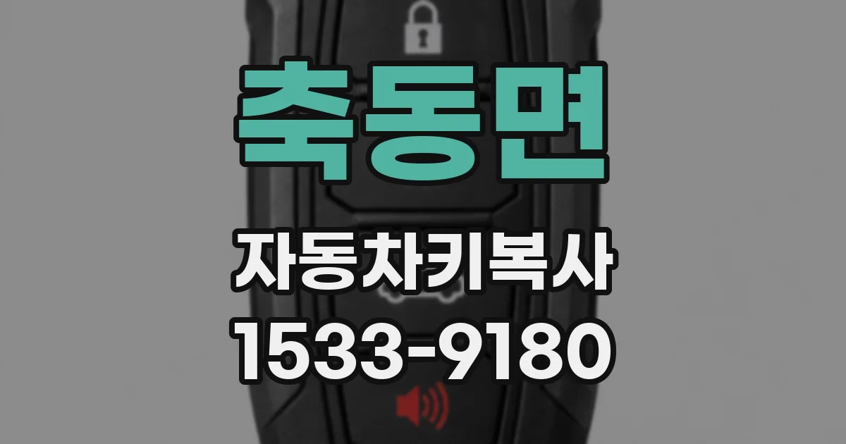 축동면 자동차키복사