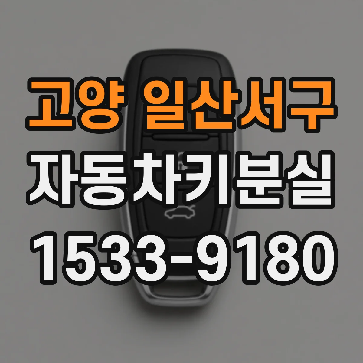 고양 일산서구 자동차키분실