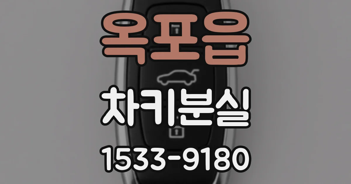 옥포읍 차키분실