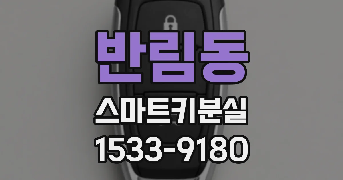 반림동 스마트키분실