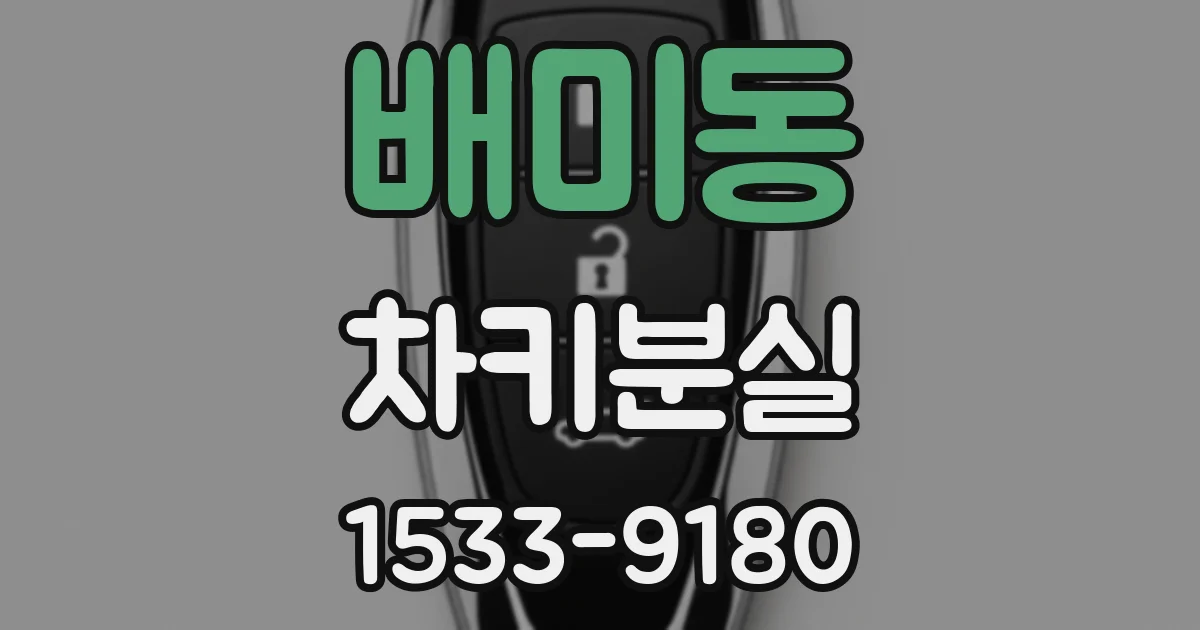 배미동 차키분실
