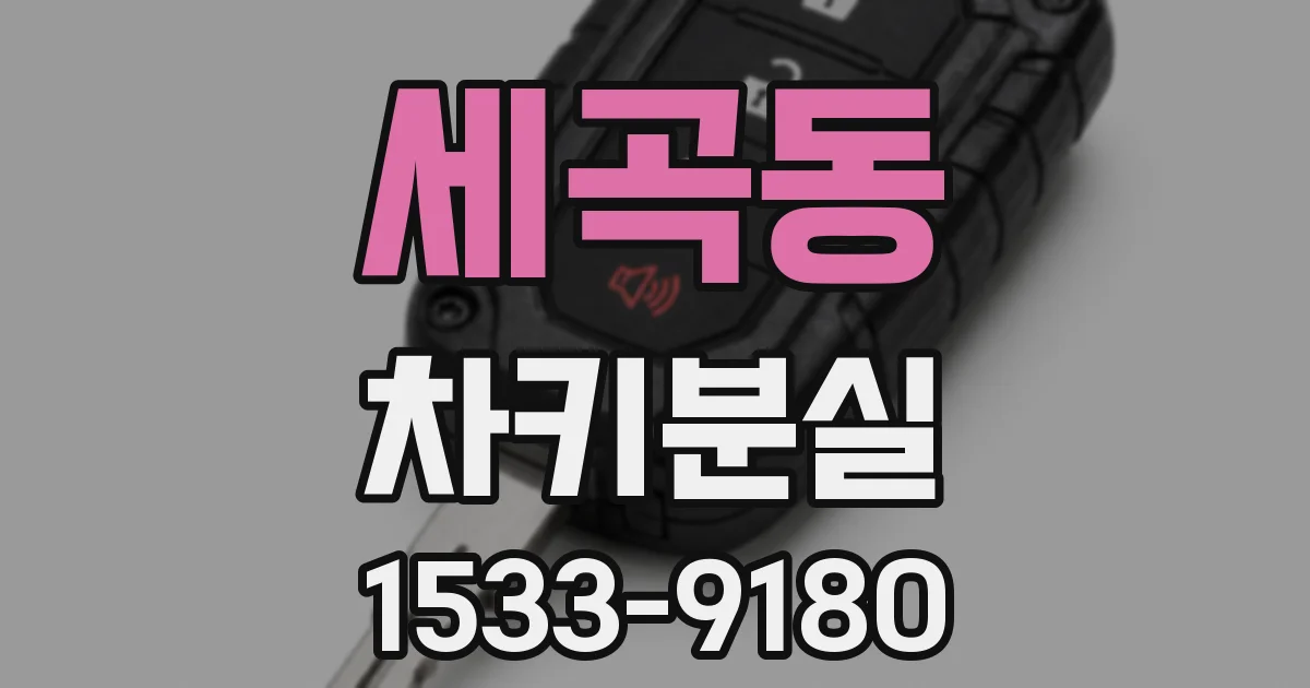 세곡동 차키분실
