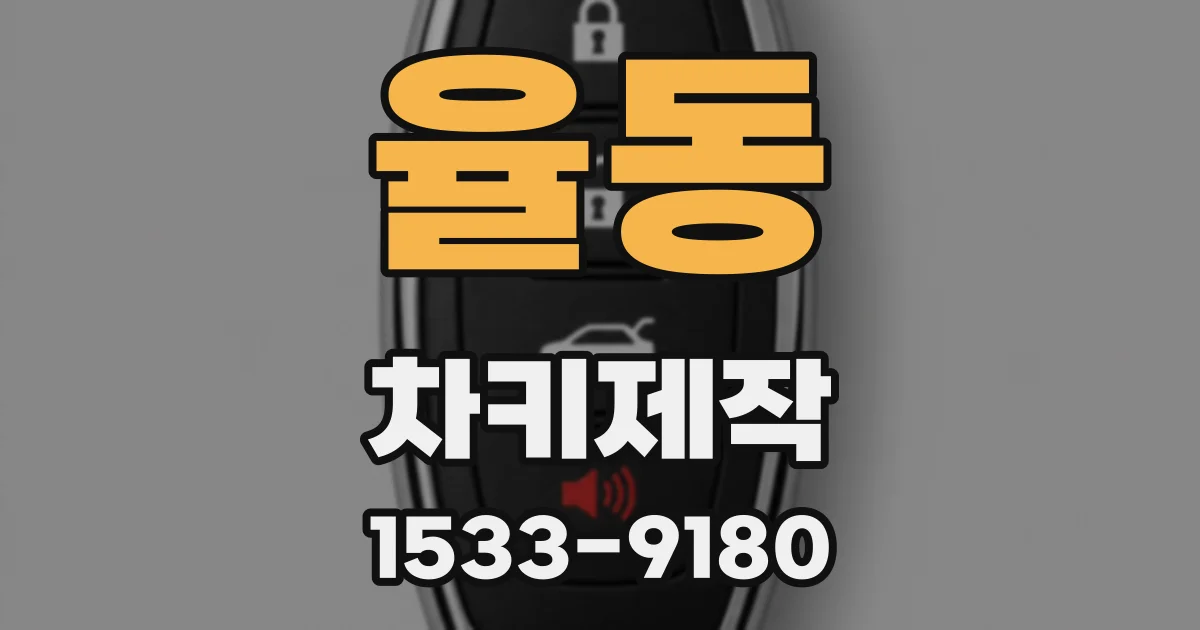 율동 차키제작