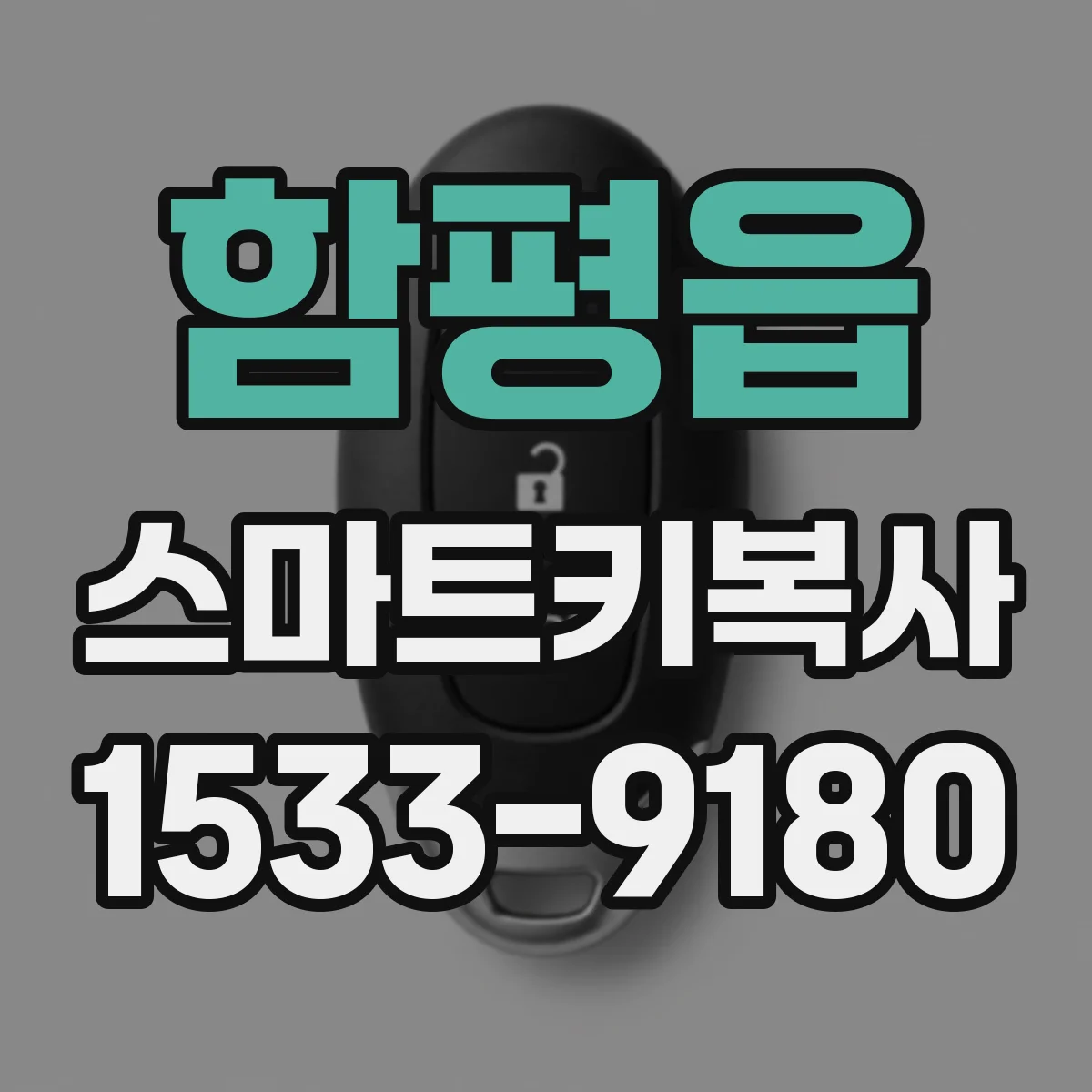 함평읍 스마트키복사