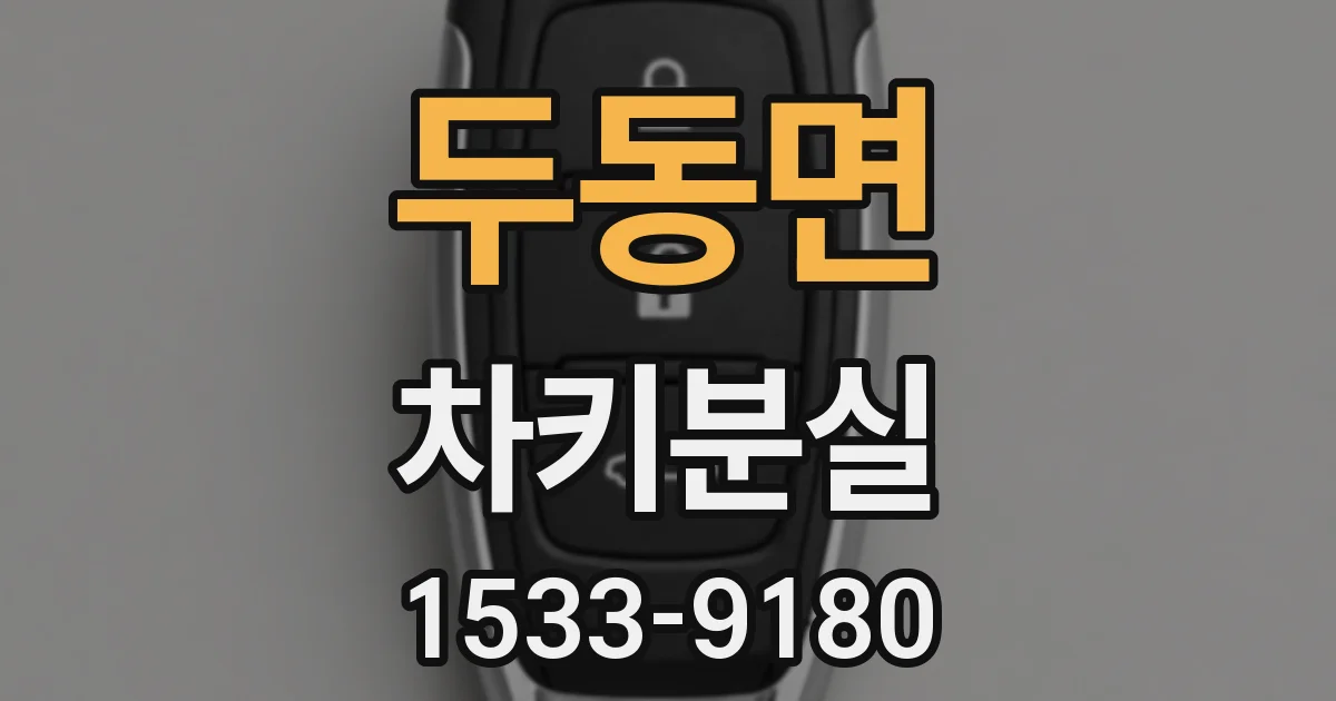 두동면 차키분실