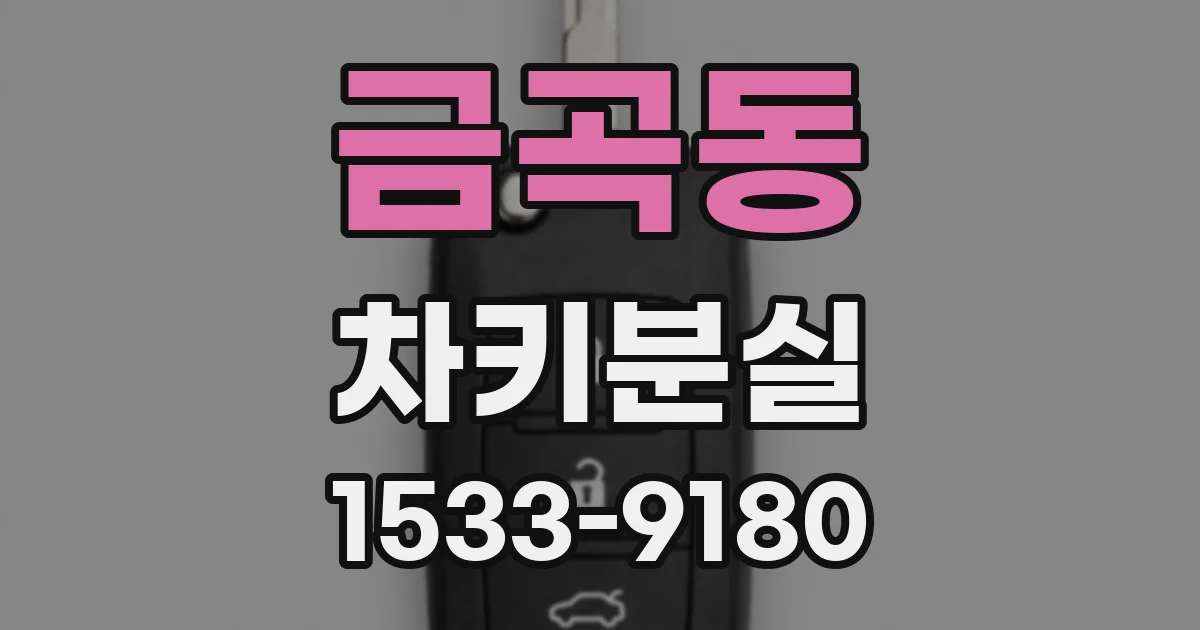 금곡동 차키분실