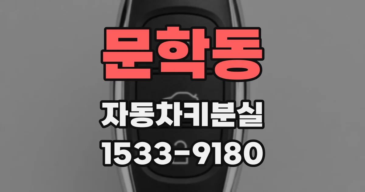 문학동 자동차키분실