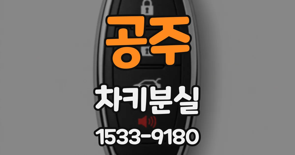 공주 차키분실