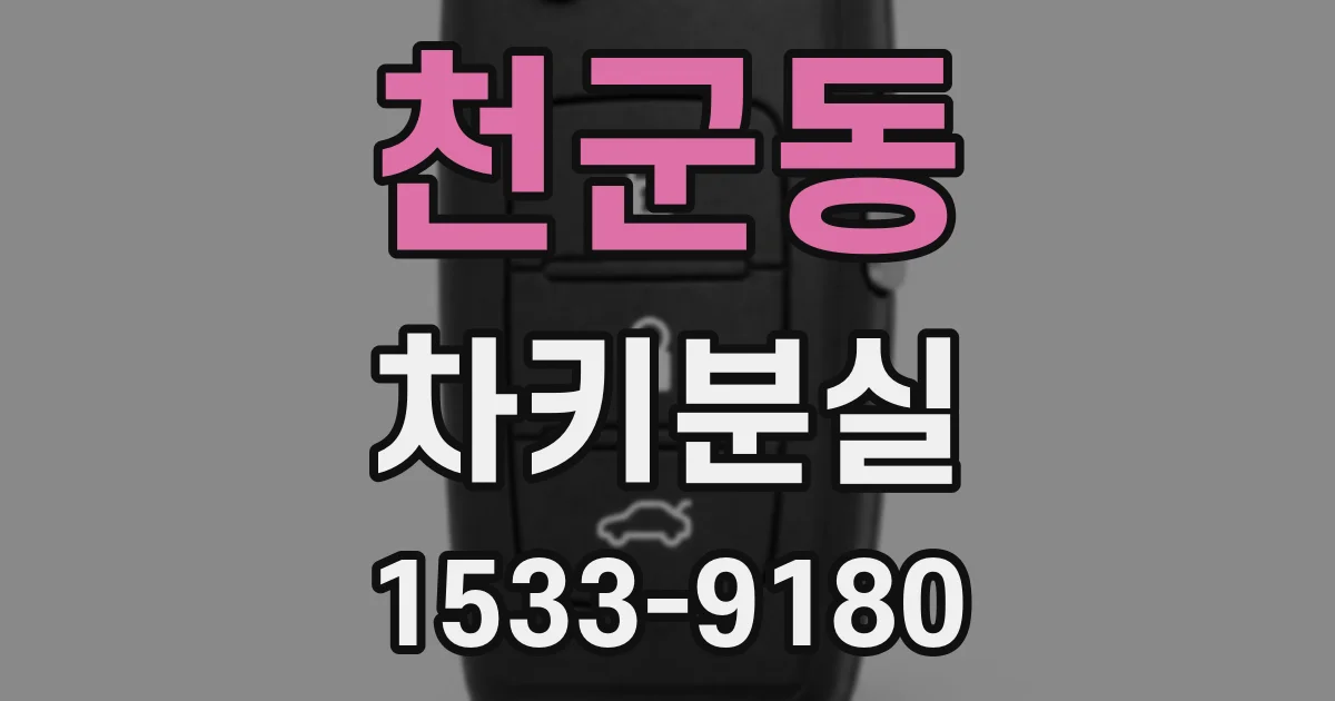 천군동 차키분실