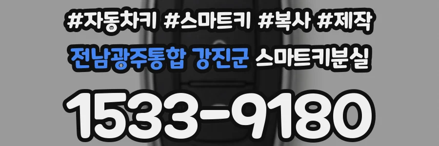 전남광주통합 강진군 스마트키분실
