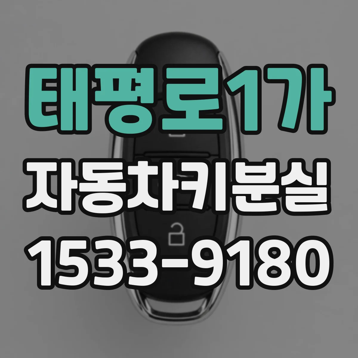 태평로1가 자동차키분실