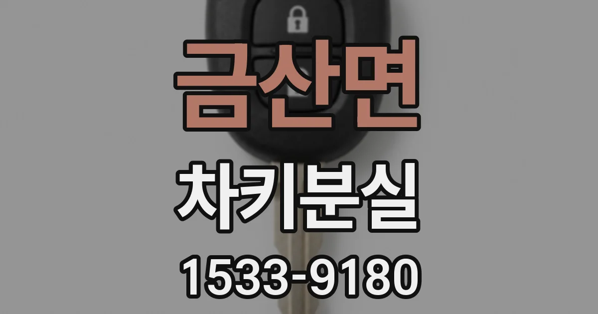 금산면 차키분실