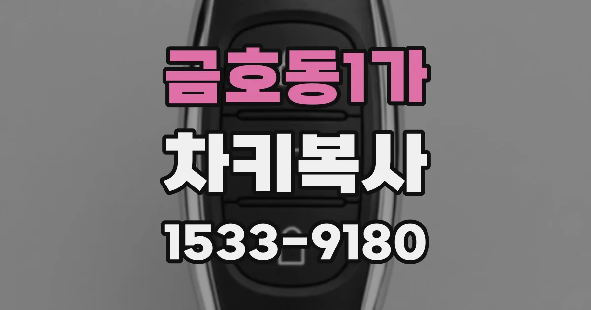금호동1가 차키복사