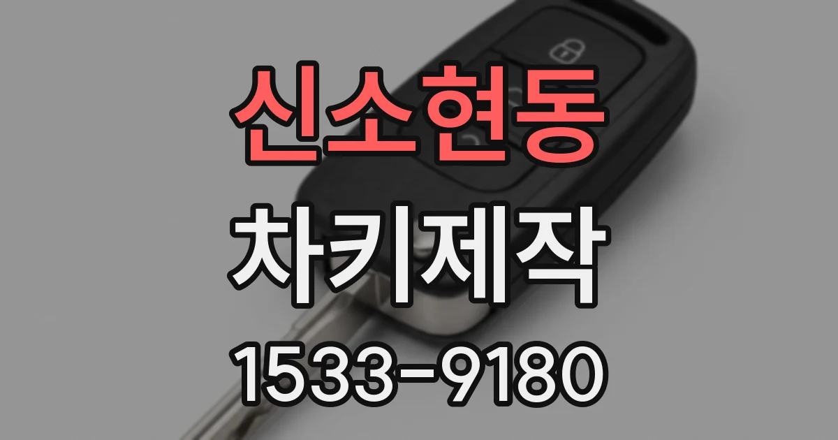 신소현동 차키제작