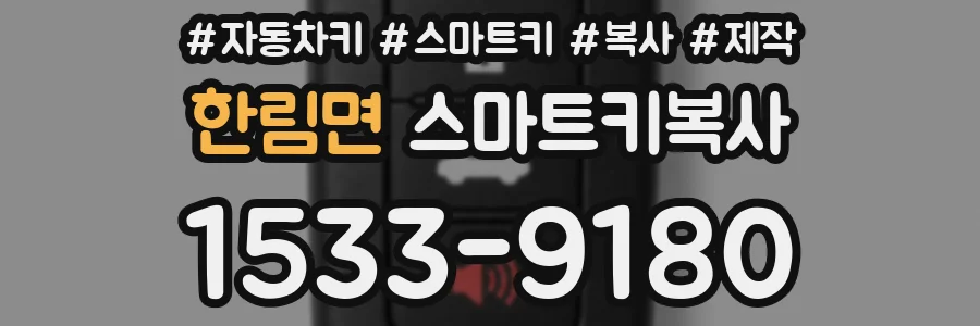 한림면 스마트키복사
