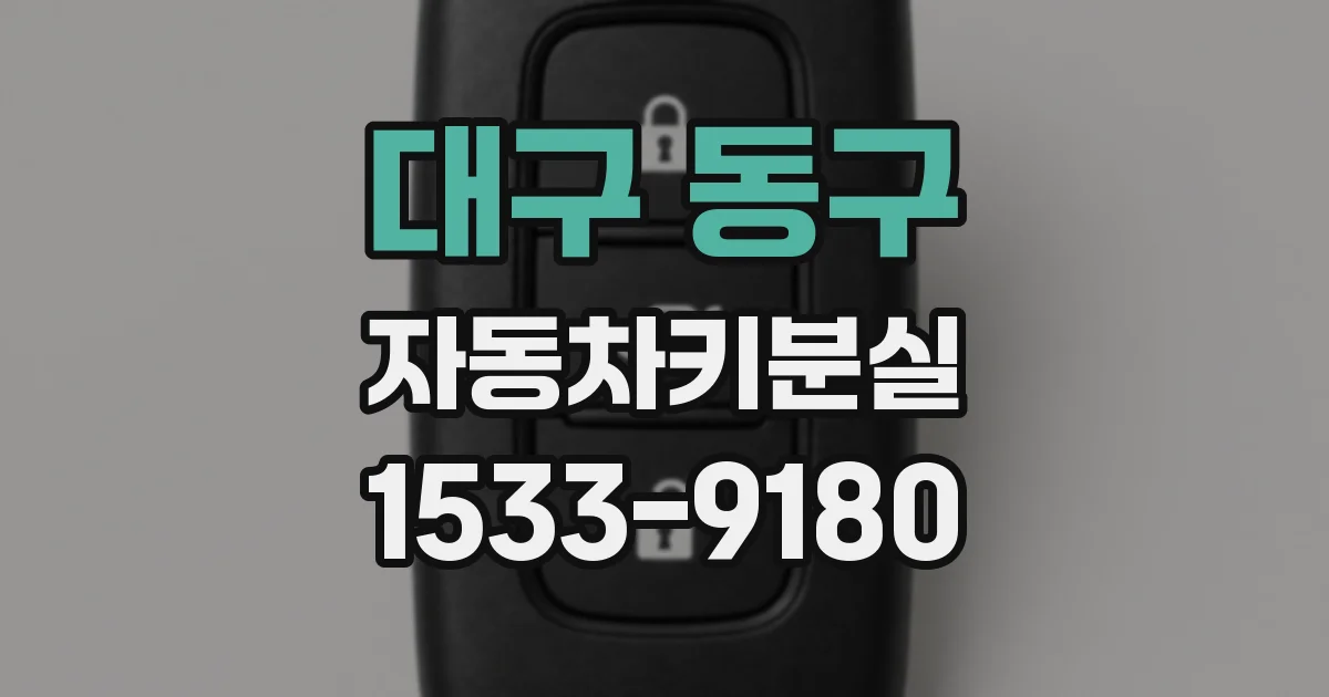 대구 동구 자동차키분실