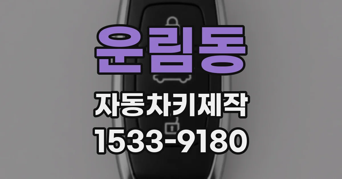 운림동 자동차키제작