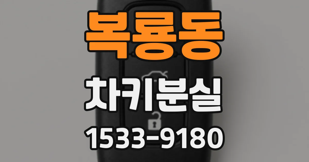 복룡동 차키분실