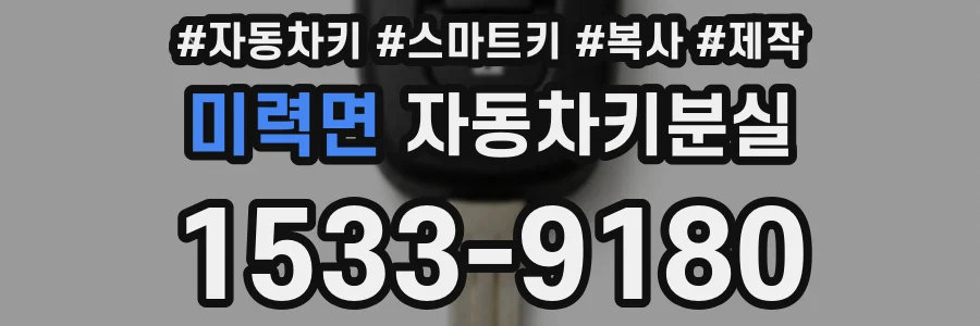 미력면 자동차키분실