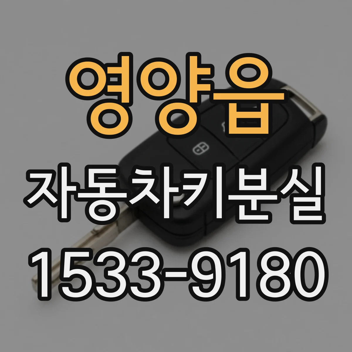 영양읍 자동차키분실