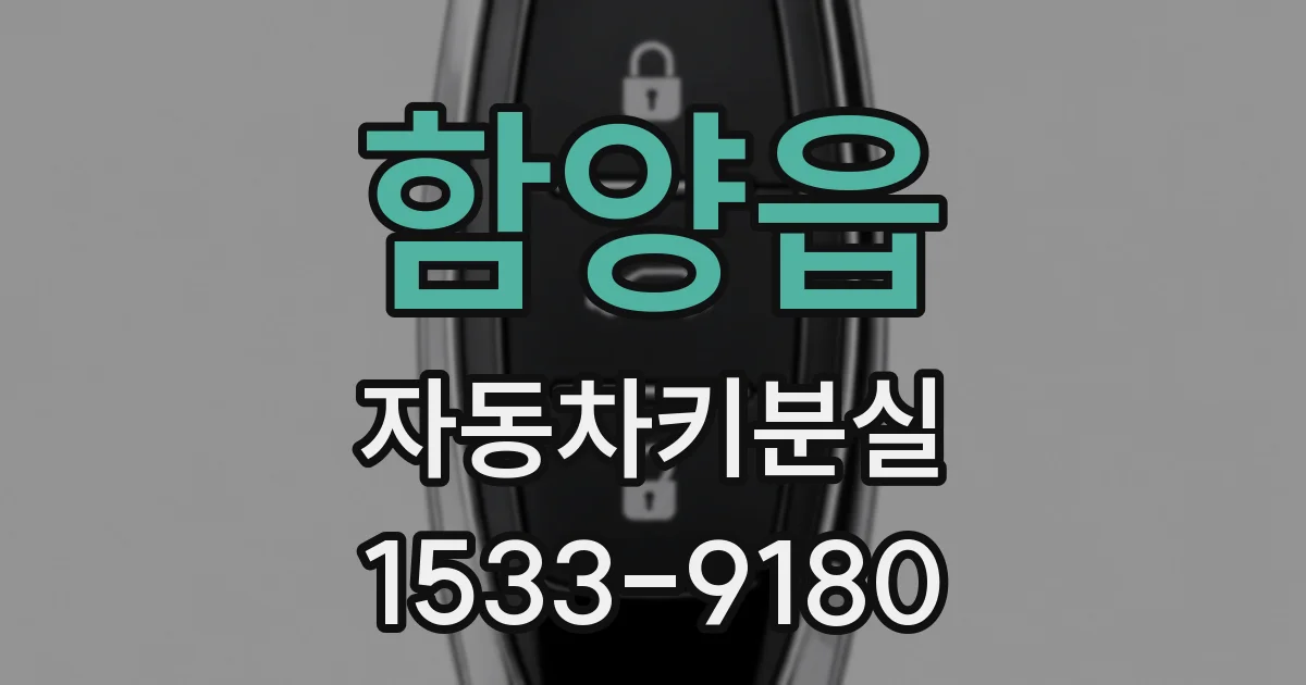 함양읍 자동차키분실