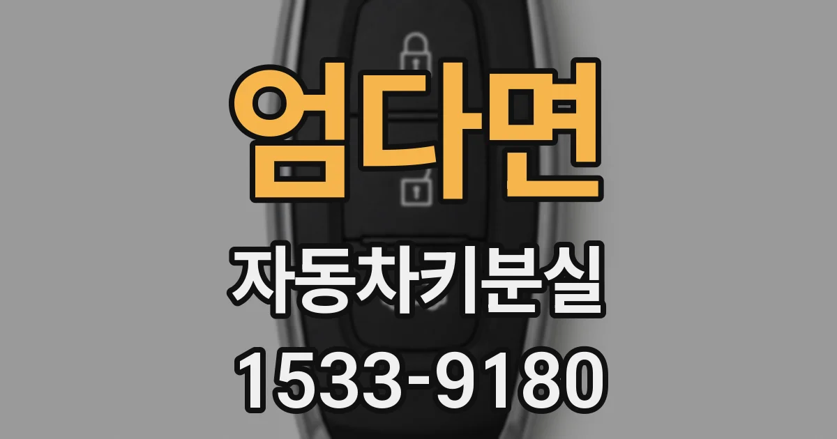 엄다면 자동차키분실