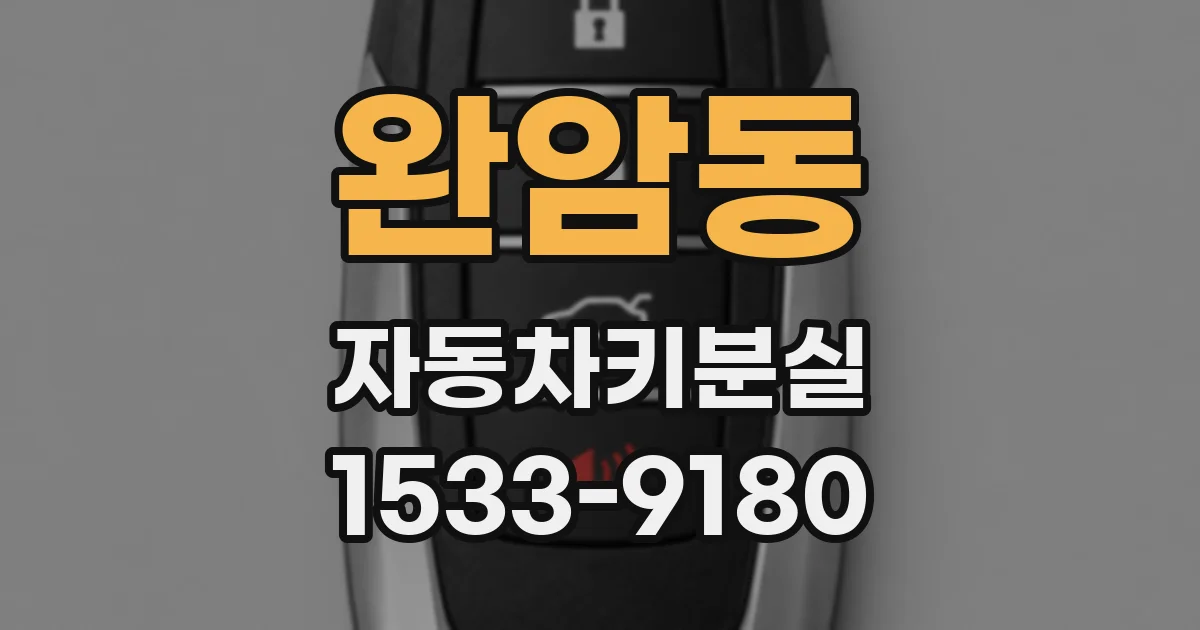 완암동 자동차키분실