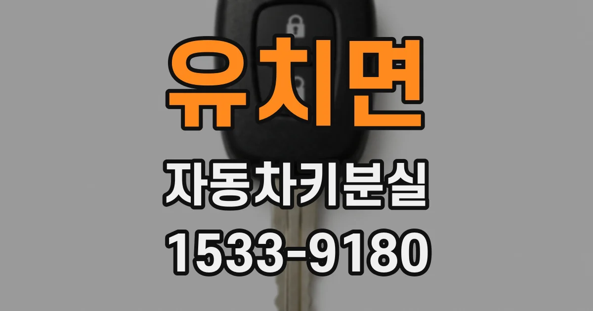 유치면 자동차키분실