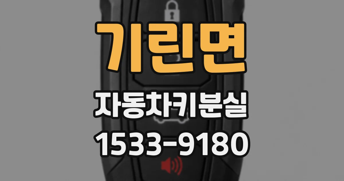 기린면 자동차키분실