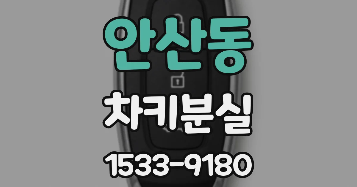 안산동 차키분실
