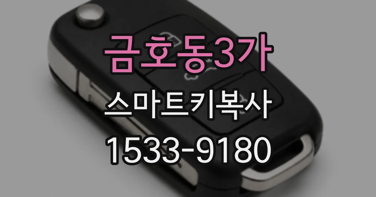 금호동3가 스마트키복사
