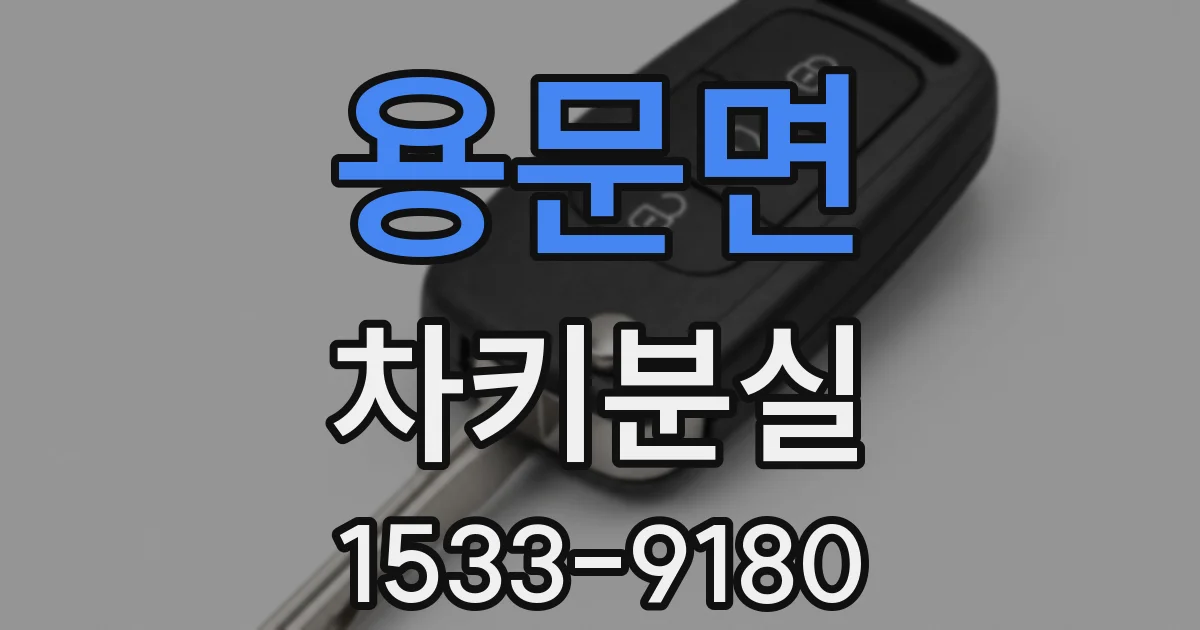 용문면 차키분실