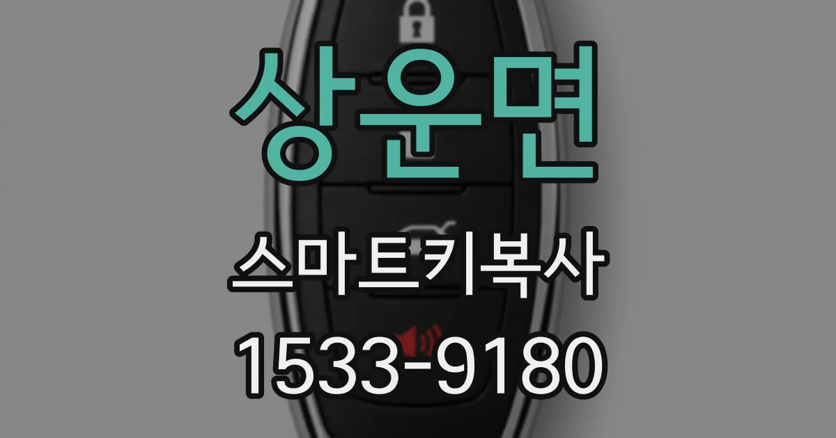 상운면 스마트키복사