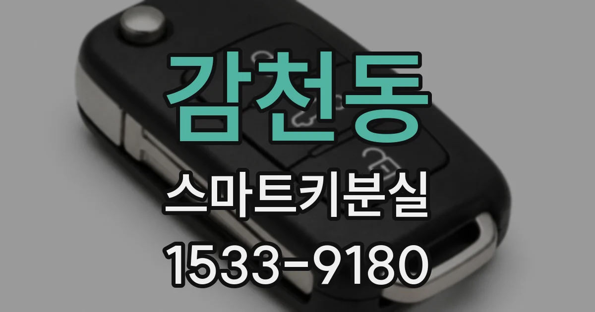 감천동 스마트키분실