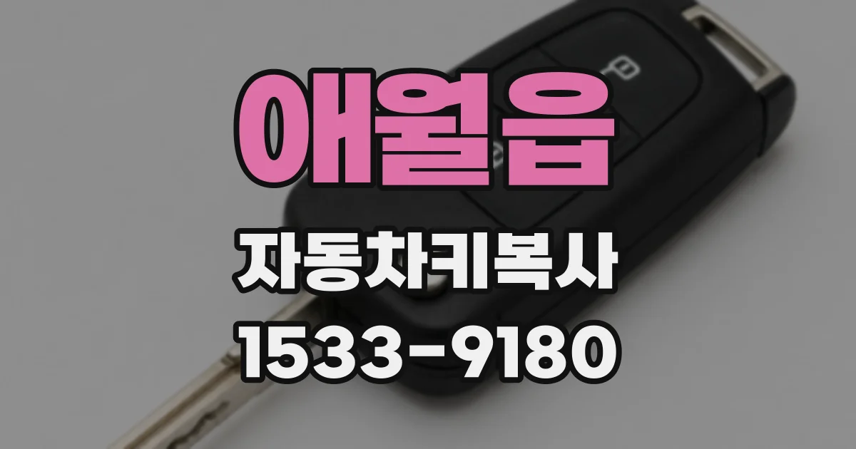 애월읍 자동차키복사