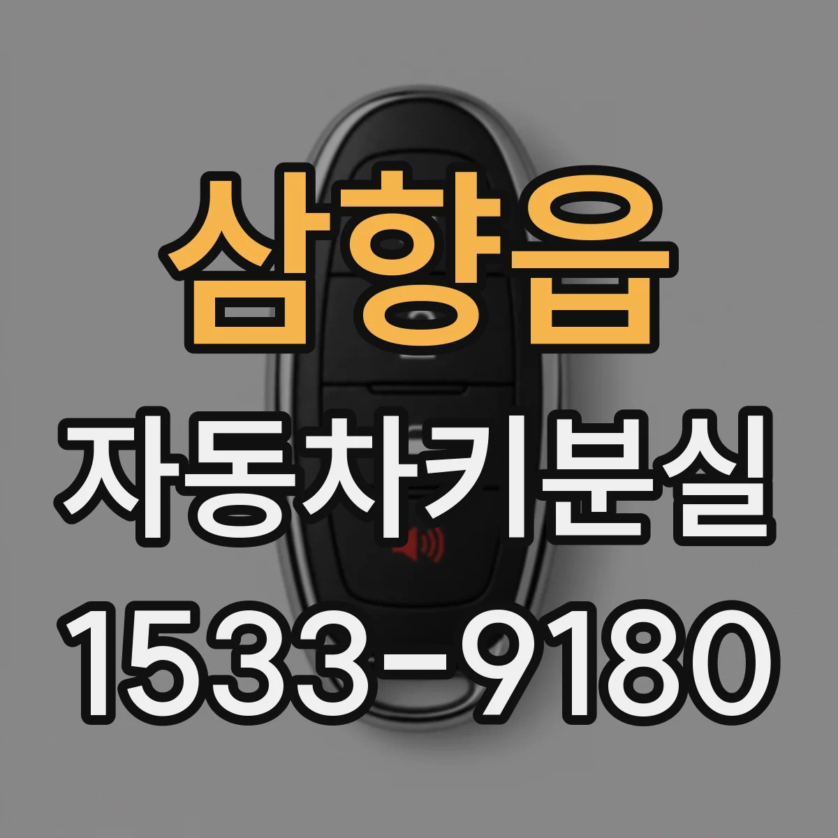 삼향읍 자동차키분실