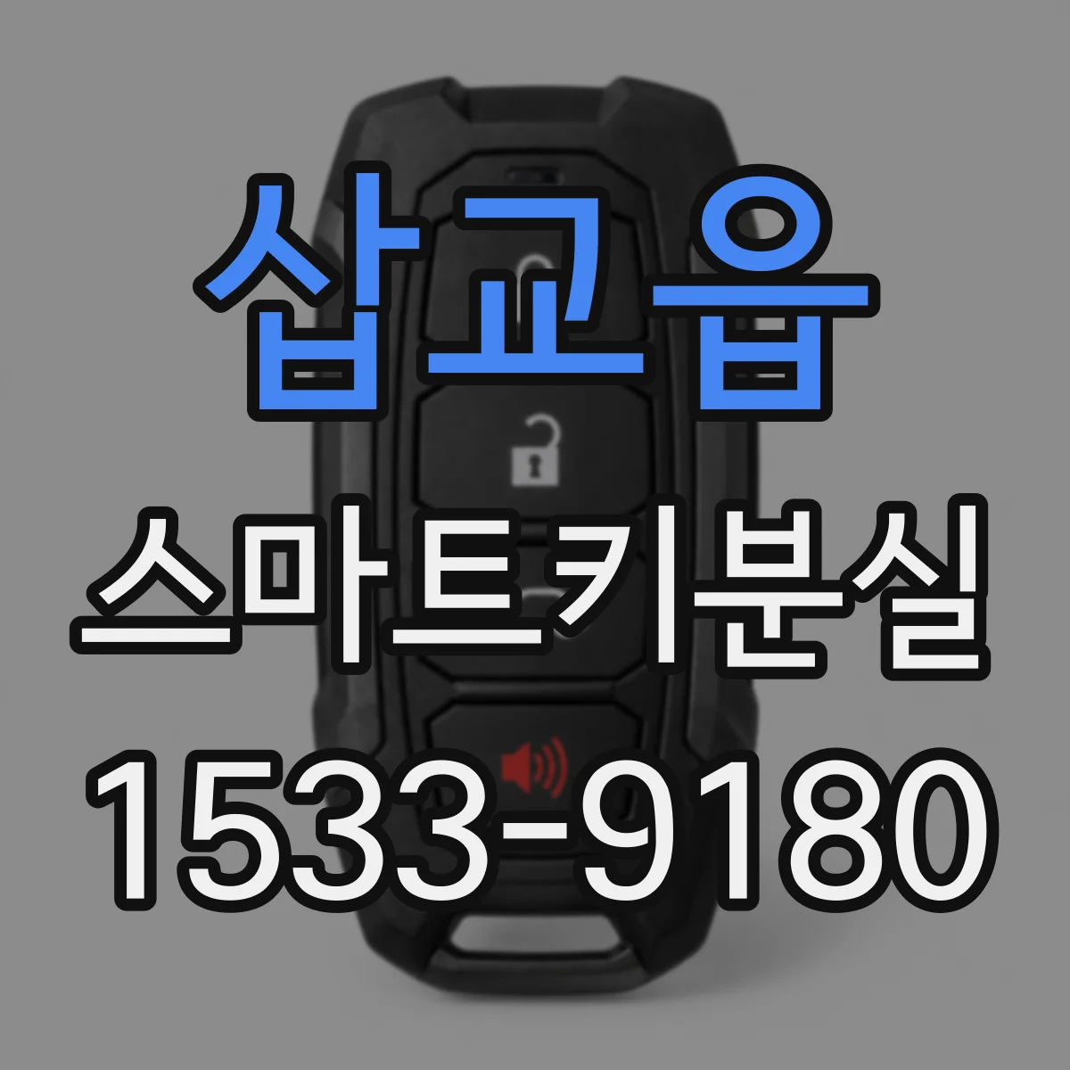 삽교읍 스마트키분실