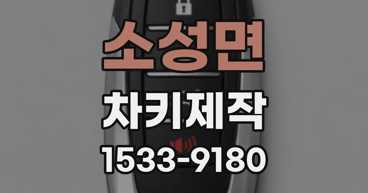 소성면 차키제작