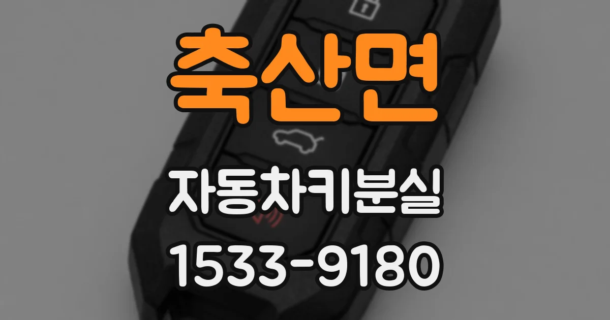 축산면 자동차키분실